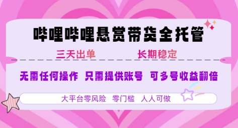 2025年B站风口带货项目 仅需提供账号 全程托管 轻松月入1w+|宝藏资源网