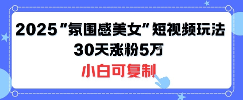 不露脸也能火！2025“氛围感美女”短视频玩法，30天涨粉5W小白可复制|宝藏资源网