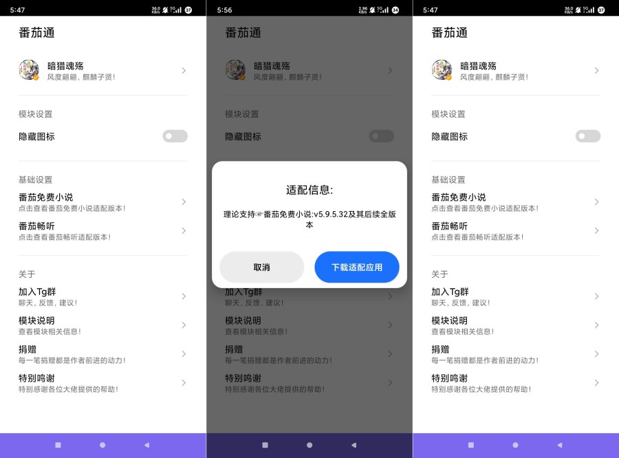番茄通1.0.4番茄小说番茄畅听VIP解锁模块|宝藏资源网