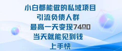 2025年小白都能做的私域项目引流负债人群最高一天变现1k+高变现难度低当天就能见到钱上手快|宝藏资源网