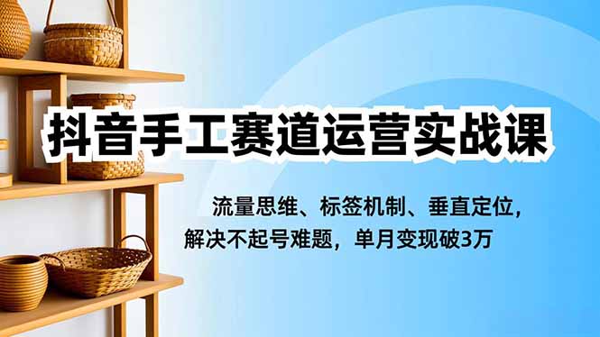 抖音手工赛道运营实战课，流量思维、标签机制、垂直定位，解决不起号难题，单月变现破3万|宝藏资源网