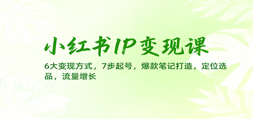 小红书IP变现课：6大变现方式，7步起号，爆款笔记打造，定位选品，流量增长|宝藏资源网