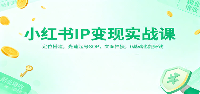 小红书IP变现实战课：定位搭建，光速起号SOP，文案拍摄，0基础也能赚钱|宝藏资源网