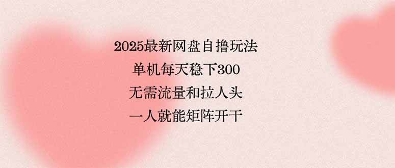 （15831期）2025最新网盘自撸玩法，单机每天稳下3张，无需流量和拉人头，一个人就…|宝藏资源网