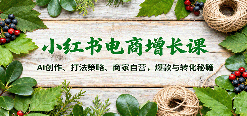 小红书电商增长课：AI创作、打法策略、商家自营，爆款与转化秘籍|宝藏资源网
