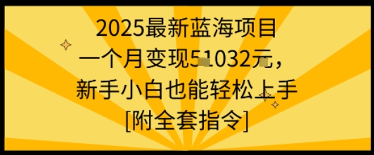 2025最新蓝海项目一个月变现1w+新手小白也能轻松上手【附全套指令】|宝藏资源网