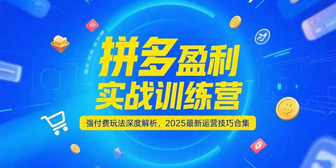 拼多多盈利实战训练营，强付费玩法深度解析，2025运营技巧合集-更新6月|宝藏资源网