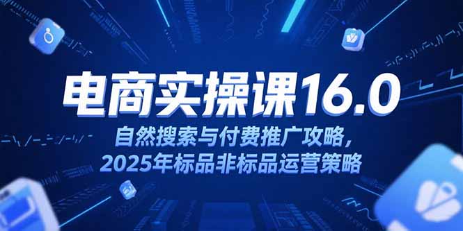 淘宝电商运营课16.0，自然搜索与付费推广攻略，2025年标品非标品运营策略|宝藏资源网