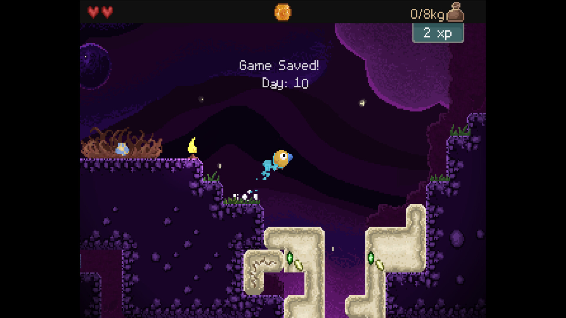 钻头鸟/Drill Bird|宝藏资源网