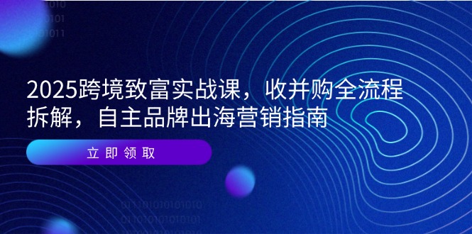 2025跨境致富实战课，收并购全流程拆解，自主品牌出海营销指南|宝藏资源网