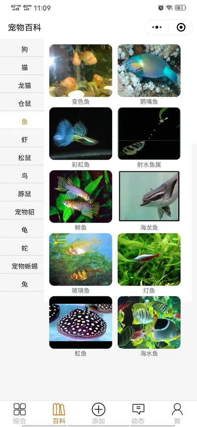 开源宠物社区微信小程序源码|宝藏资源网