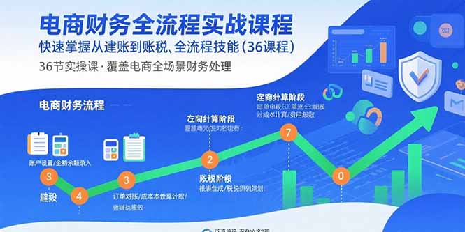 电商财务全流程实战课程：快速掌握从建账到报税的全流程技能(36节课|宝藏资源网