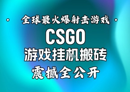 【年底大揭秘】基于全球最火爆的射击CSGO游戏挂G搬砖，日入5张+，震撼公开|宝藏资源网