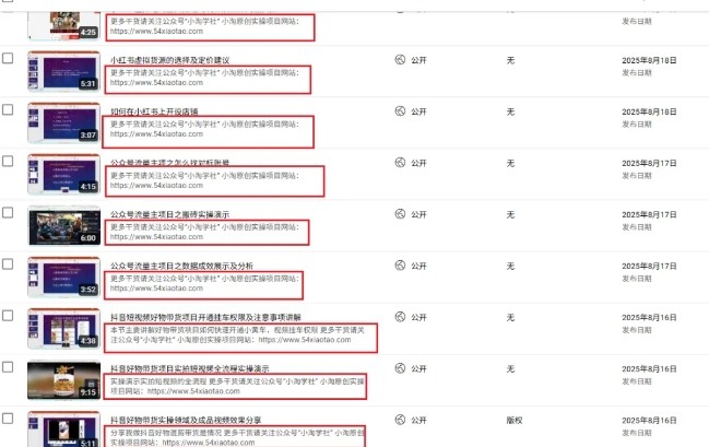 2025油管引流术，分享我是如何通过油管做引流的|宝藏资源网